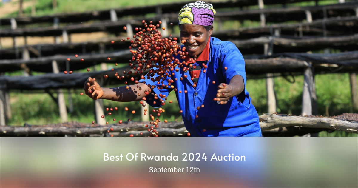 Best Of Rwanda 2024 Auction - Sign Up